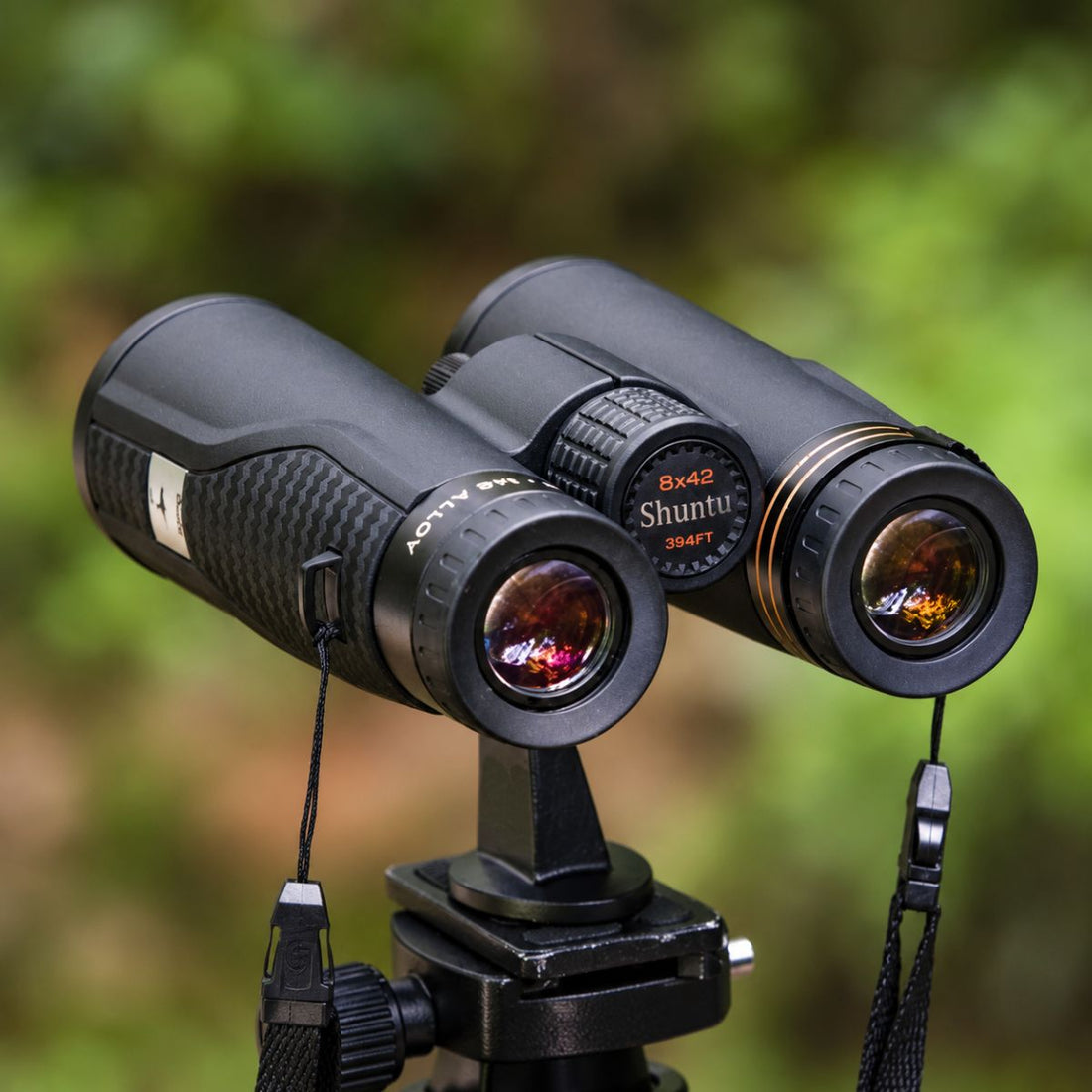 8x42 vs 10x42 Binoculars for Bird Watching: What’s the Difference?