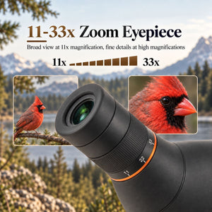 Kingfisher 11-33x56 ED Spotting Scope — Compact and Lightweight, for Bird Watching