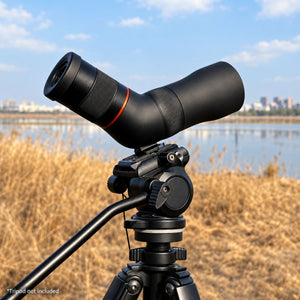 Kingfisher 11-33x56 ED Spotting Scope — Compact and Lightweight, for Bird Watching