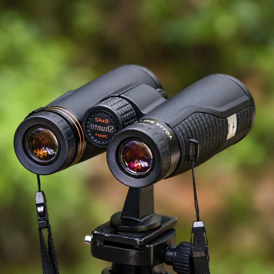 Raven 8x42 ED Binoculars — Wide Field of View, Tripod-Ready
